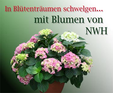 Pflanzen aller Art