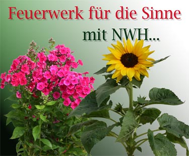 Pflanzen aller Art