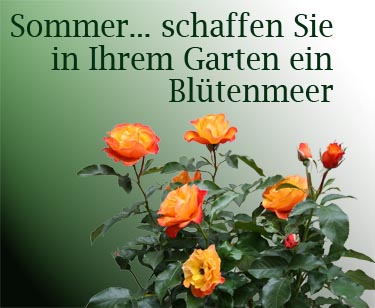 Pflanzen aller Art
