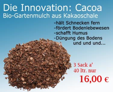 Kakao-Schalen