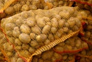 Kartoffeln