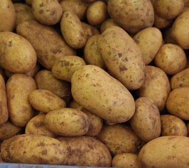 Kartoffeln