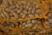 Kartoffeln