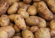 Kartoffeln