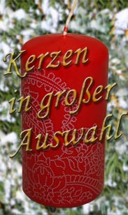 Pflanzen aller Art