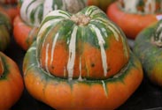 Kürbis