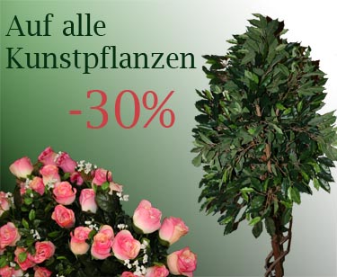 Pflanzen aller Art