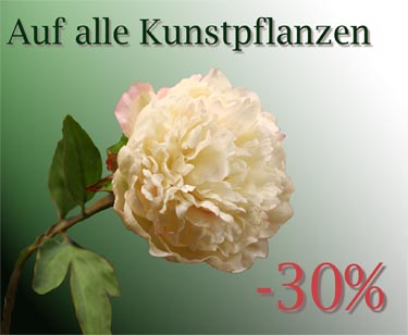 Pflanzen aller Art