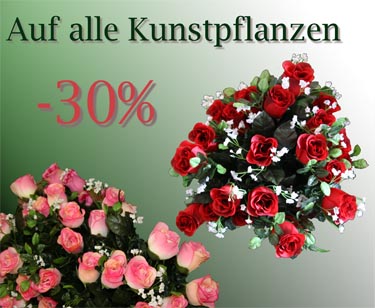 Pflanzen aller Art