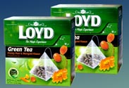 Loyd Tee - Grüner Tee