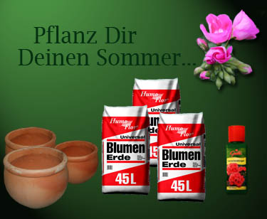 Pflanzen aller Art