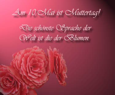 Pflanzen aller Art
