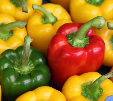 Paprika