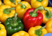 Paprika