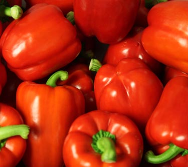 Paprika