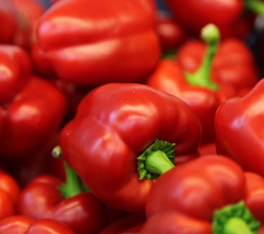 Paprika
