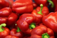 Paprika