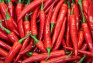 Peperoni