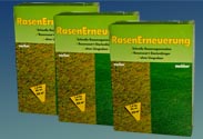 Rasenerneuerung