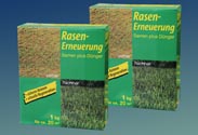 Rasenerneuerung