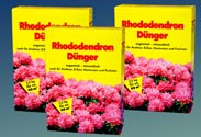 Rhododendron Dünger
