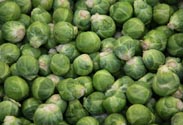Rosenkohl