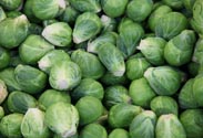 Rosenkohl