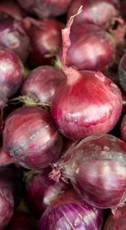 Rote Zwiebeln