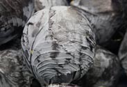 Rotkohl
