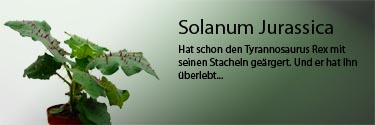 Pflanzen aller Art