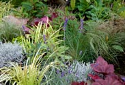 Herbststauden-Mix