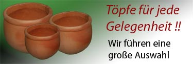 Pflanzen aller Art
