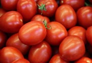 Tomaten