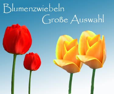 Pflanzen aller Art