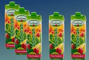 Kaktus-Mehrfruchtsaft