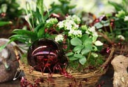 Weihnachtliche Arrangements