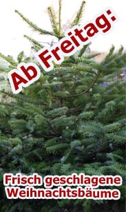 Weihnachtsbäume