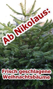 Weihnachtsbäume