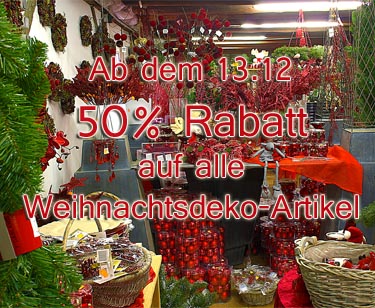 Weihnachtsstern 5-7 Bl&uuml;ten