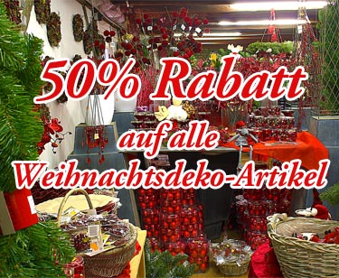 Weihnachtsstern 5-7 Blüten
