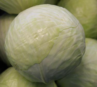 Weikohl