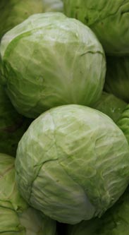 Weikohl