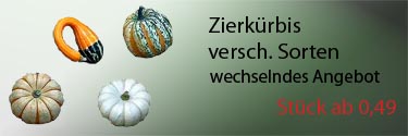 Pflanzen aller Art