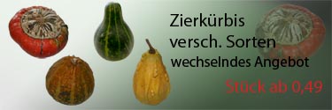 Pflanzen aller Art