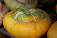 Kürbis