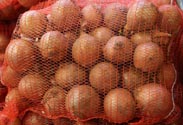 Zwiebeln 5 Kg