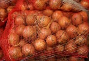 Zwiebeln 5 Kg